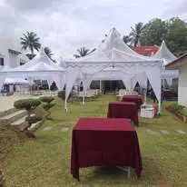 Outdoor canopy setup with maroon table covers